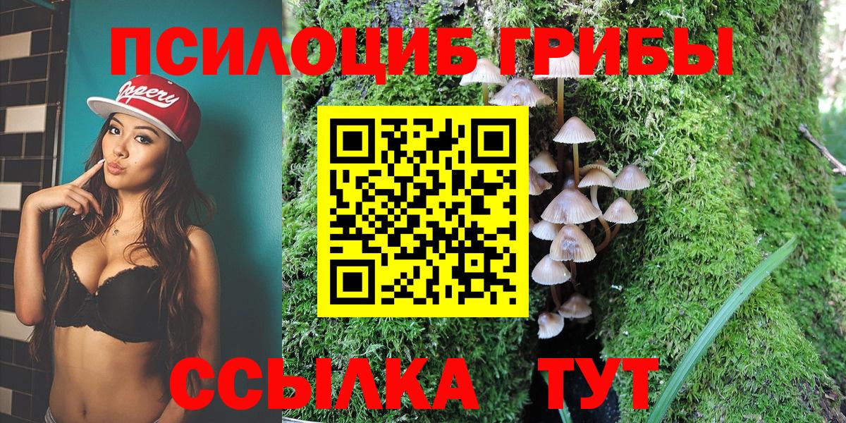 купить закладку  Вход с VPN  Еманжелинск  Псилоцибиновые грибы мухоморы 