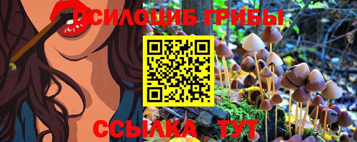 Псилоцибиновые грибы Magic Shrooms Еманжелинск